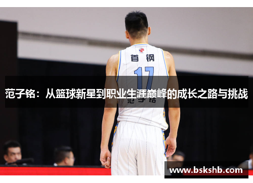 范子铭：从篮球新星到职业生涯巅峰的成长之路与挑战